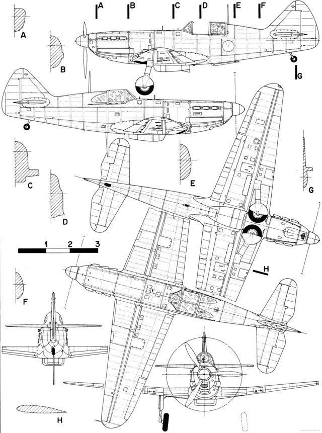 Dewoitine 520 pour le Musée  Dewoit10