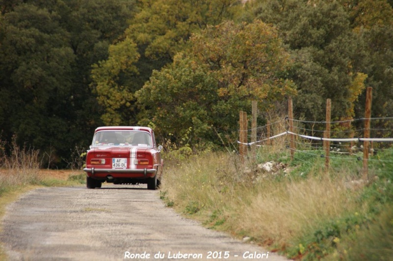 4ème ronde en pays de Lubéron samedi 21 novembre 2015 - Page 8 Dsc00309