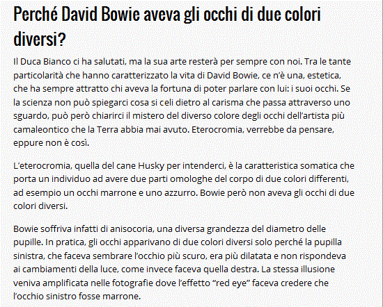 Addio a David Bowie David_15