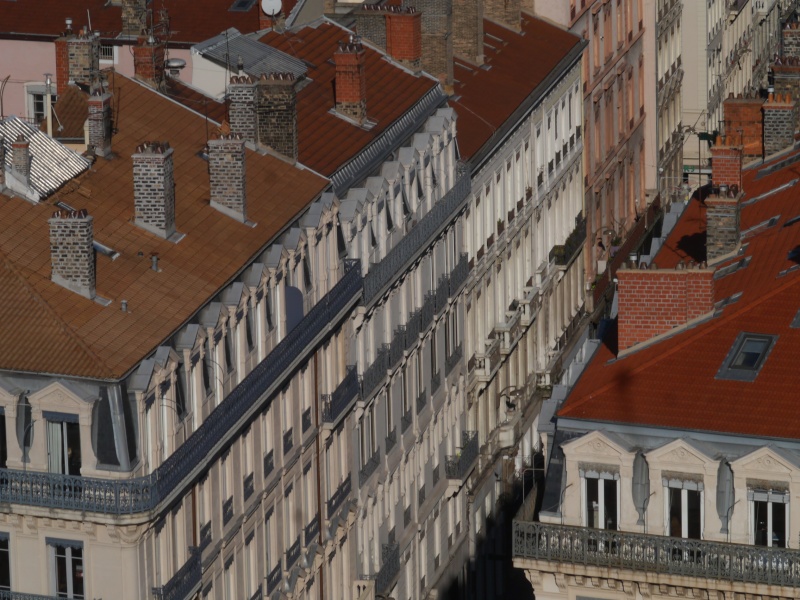 [LYON] Grande Roue, Marché aux livres, Vues & Zoom (Dec 2015) P1770323