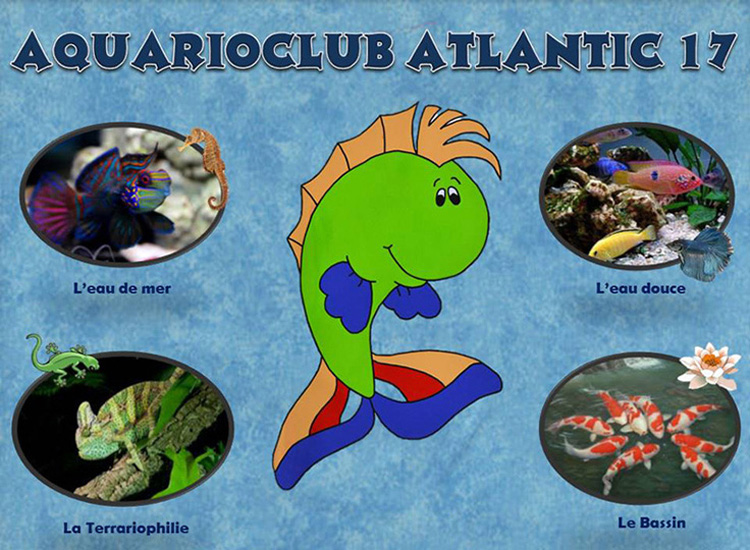 Le Forum de l'Aquarioclub Atlantic 17