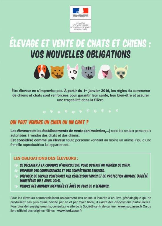 Elevage et vente de chats et chiens : ordonnance Loi10110