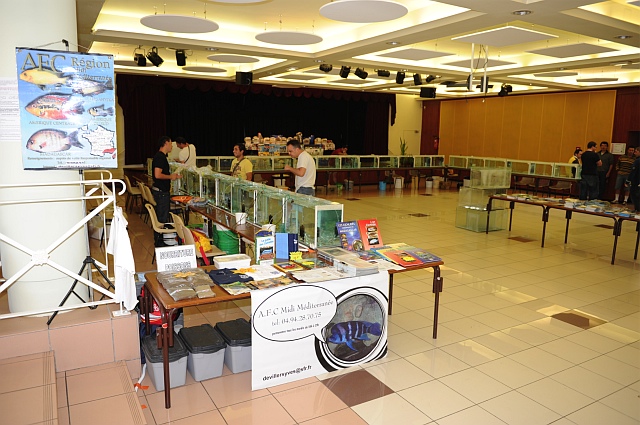 Bourse 2010 (Villeneuve lez Béziers) Suite & fin. Bbexpo10