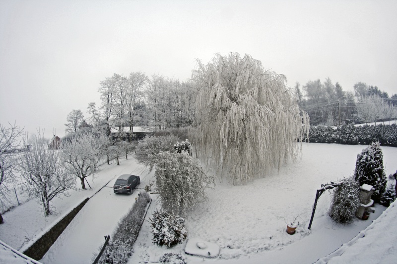 Concours photo du mois de Décembre 2015 - Page 2 _mg_6110