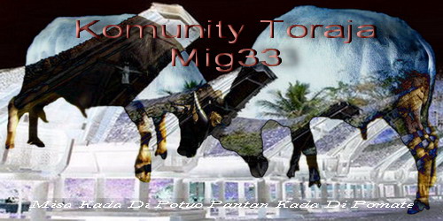 COMUNITY MIG33 TORAJA