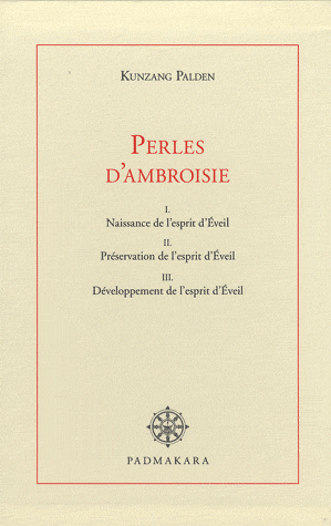 Perles d'Ambroisie 97829010