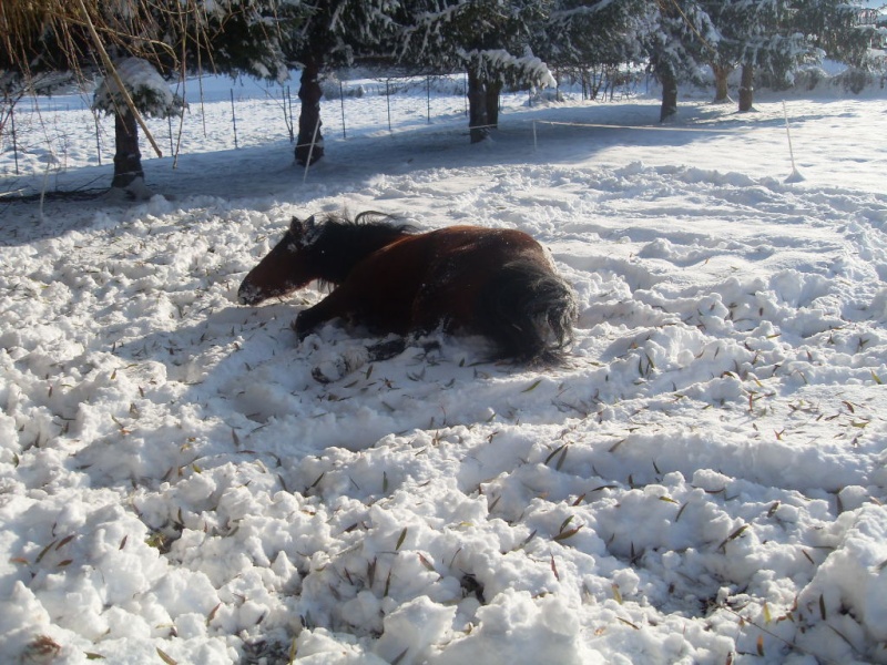 Quiara dans la neige! Sdc12410