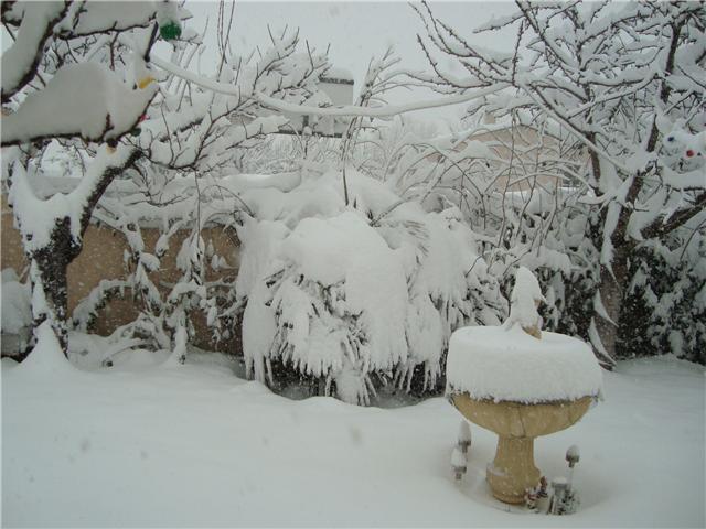 de la neige de la neige Jardin10