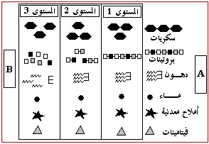   -4- (2009/2010) 2_bmp10