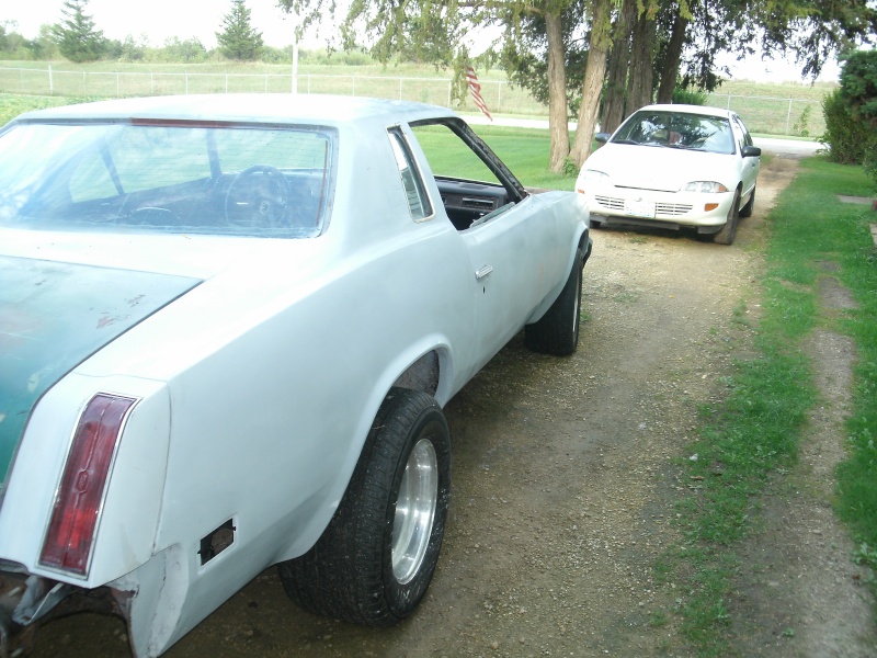 1975 Monte Carlo Bumper12