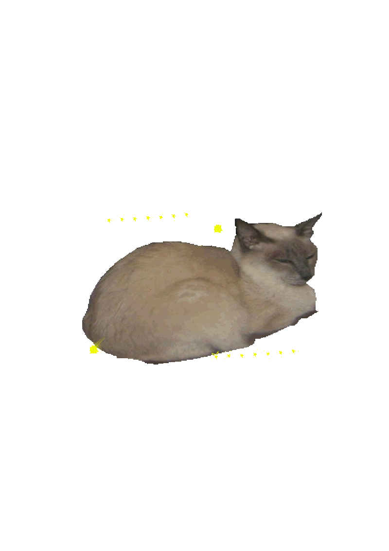 Gimp Mici11