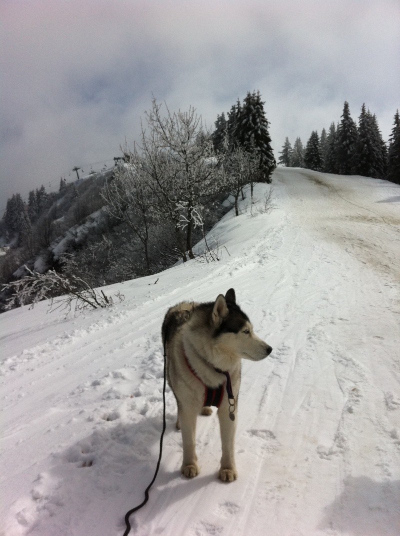 Photos Megève Mars 2011! Img_0610