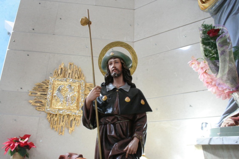 Foto della Processione di San Rocco dell' 11 Gennaio 2009 (Piano della Fiera) Img_3444