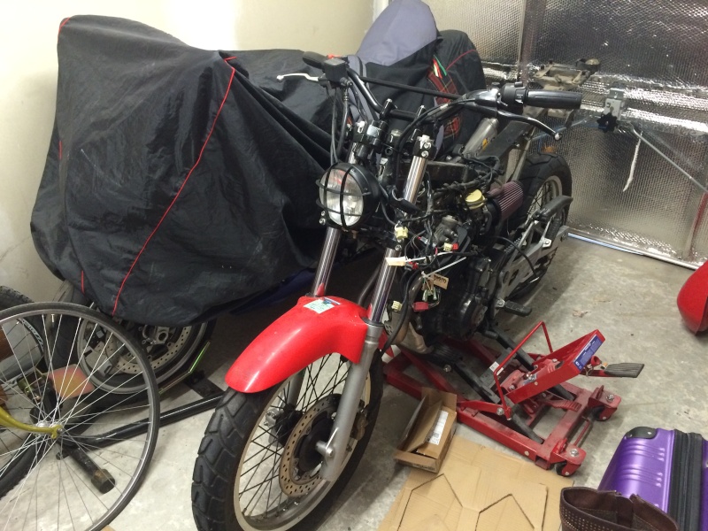 FX 650 scrambler Img_0412