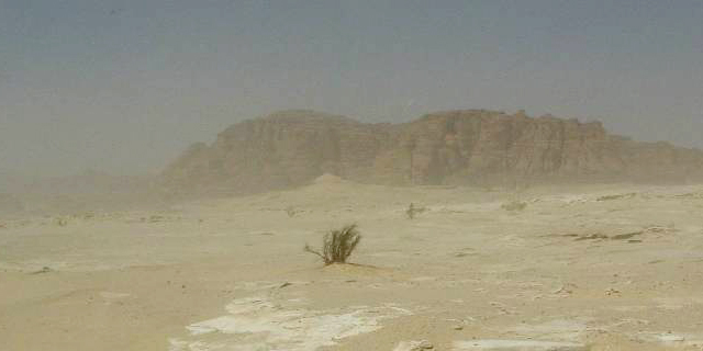 Deux battlebacks: désert et rochers Dasert10