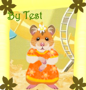 New NEW Hamster cage contest is Design Hamster clothes Hamste10