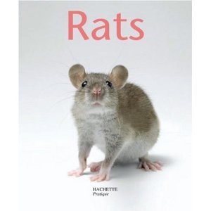 Rats aux éditions Hachette Livrer10