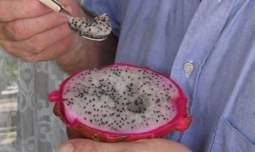 Bon appétit L_frui10