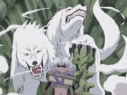 Inuzuka clan special jutsu 180px-11