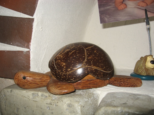 ma collection de tortues Leane365