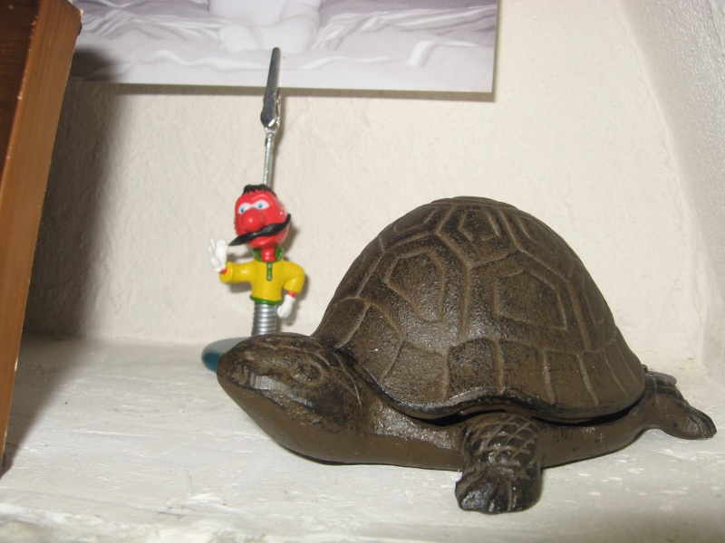 ma collection de tortues Leane366