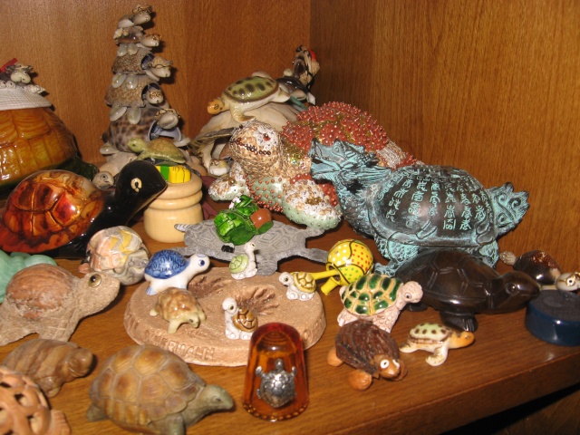 ma collection de tortues Leane392