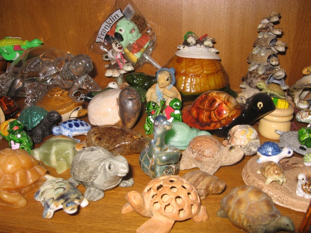 ma collection de tortues Leane393