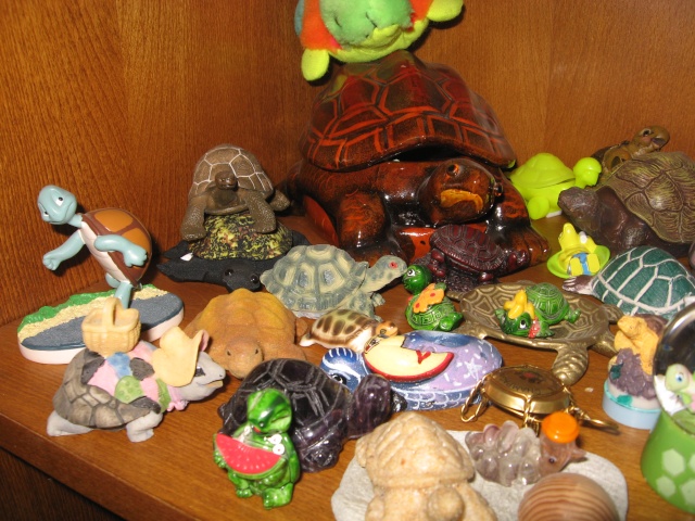 ma collection de tortues Leane397
