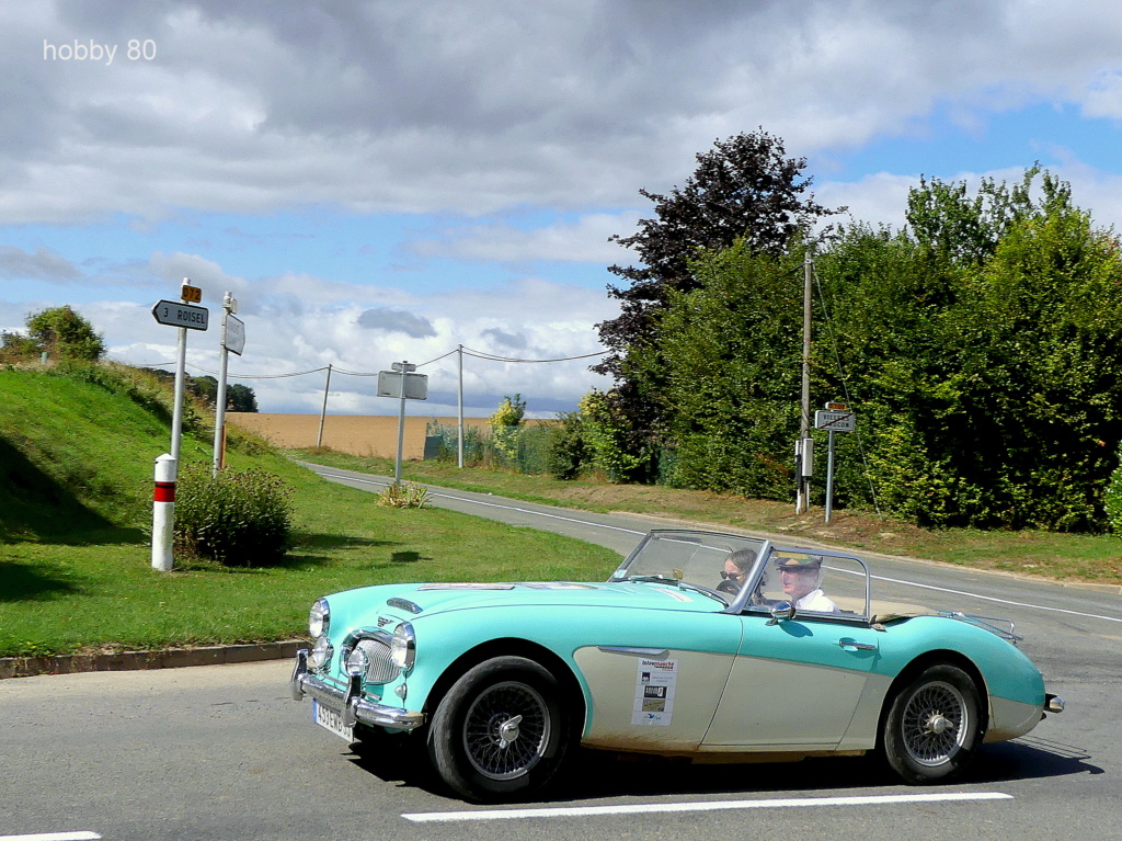 Samba croisées sur les routes... - Page 20 P1020614
