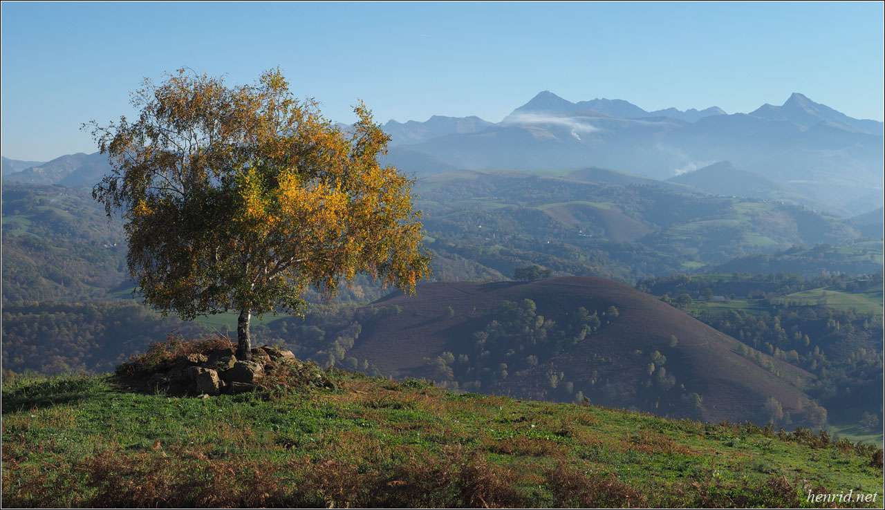 Août ou novembre ? Averan11