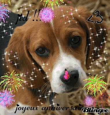Joyeux Anniversaire Souphiie Joyeux Anniversaire Souphiie