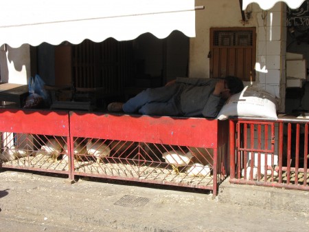 ... Casablanca vers El-Jadida .... Poules10