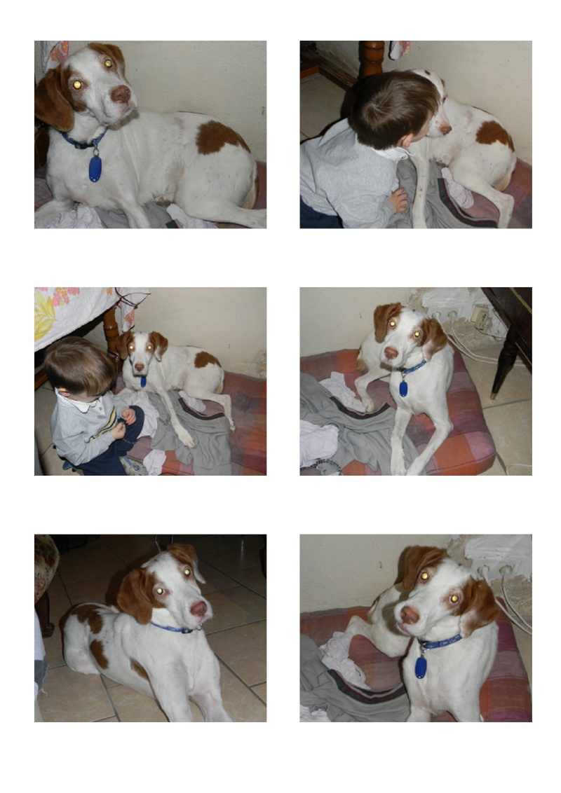 relka x pointer dept84 9ans ADOPTEE Relka110
