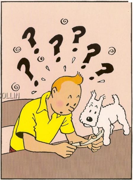 Débats sur l'islam - Page 39 Tintin10