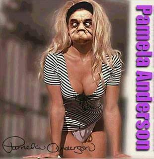 Pamela Anderson plus étrange et sexy que jamais Humour13