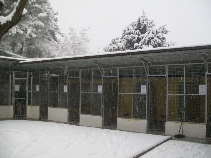 La neige au refuge le11-02-2010 Photo_21