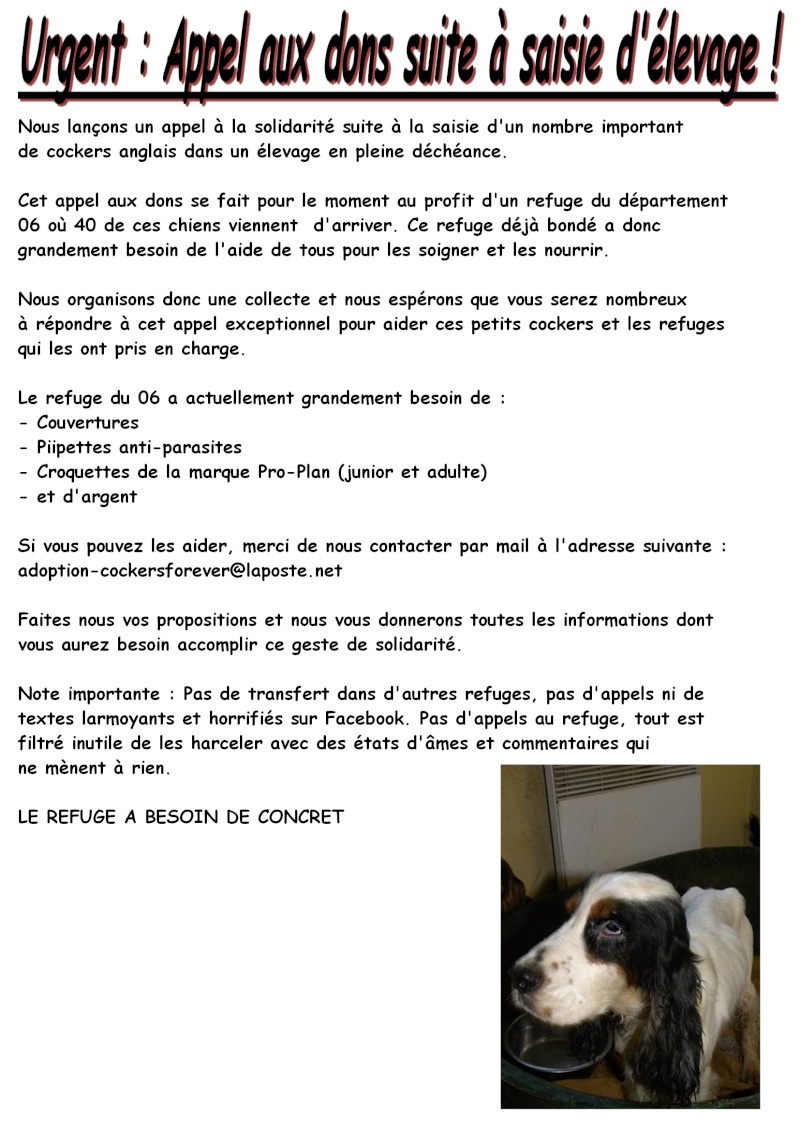 collecte urgente, couvertures croquettes etc... - Page 3 Sans_t13