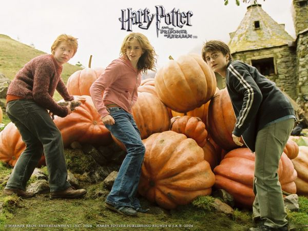 ''Harry Potter Duvar Kağıtlar'' Harry_10