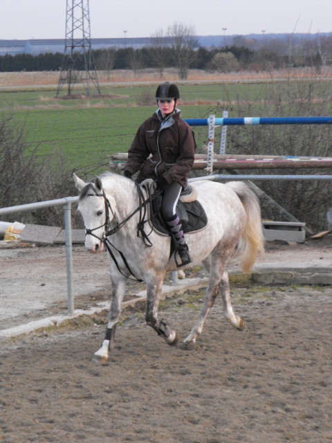 G 7 Chevaux - Mercredi 25.02.09 - 17h30 Dscf7071