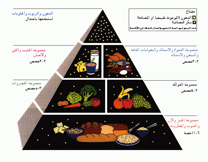 الهرم الغذائي الارشادي Foodgu10