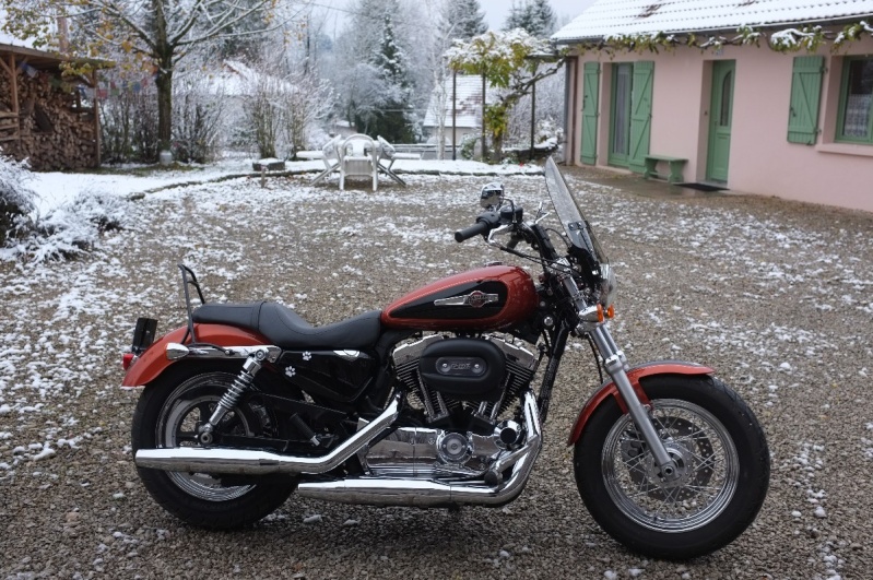 J'aime mon Sportster - Page 2 01911