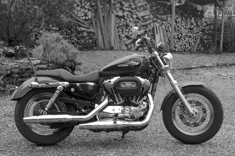 J'aime mon Sportster - Page 10 P1010210