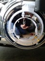 Notre freewheeler 23376110
