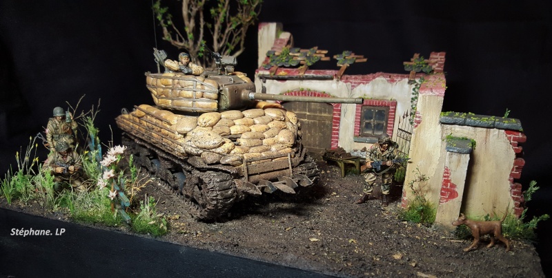 Une rencontre inattendue... Sherman M4A3 - Tamiya - 1/35 20151111