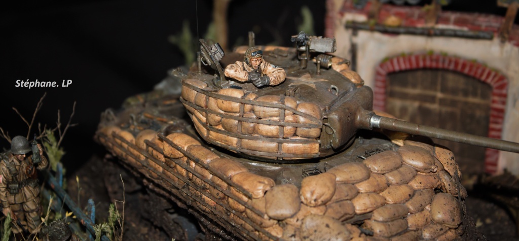 Une rencontre inattendue... Sherman M4A3 - Tamiya - 1/35 Img_1513