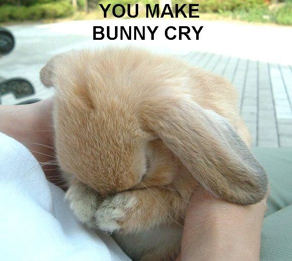 Funnies for all! Bunnys10