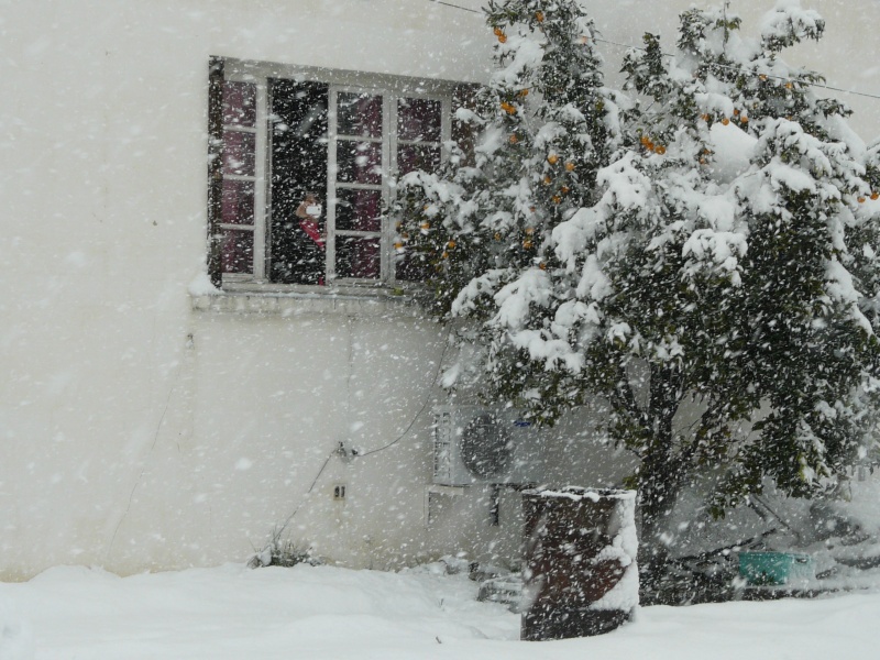 Perpignan sous la neige!!!! 01010