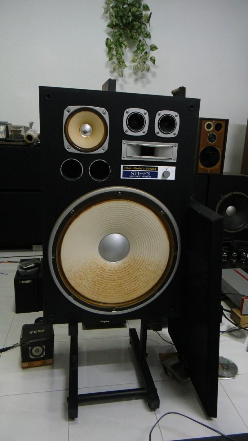 Fisher studio standard STE-F3 speaker (Used)SOLD Dsc00644