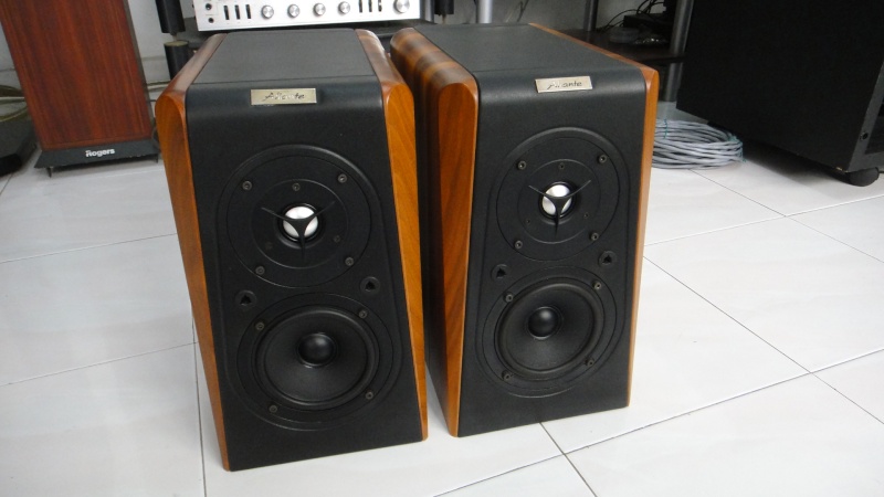 Aliante punto 5 speaker (Used)SOLD Dsc00716
