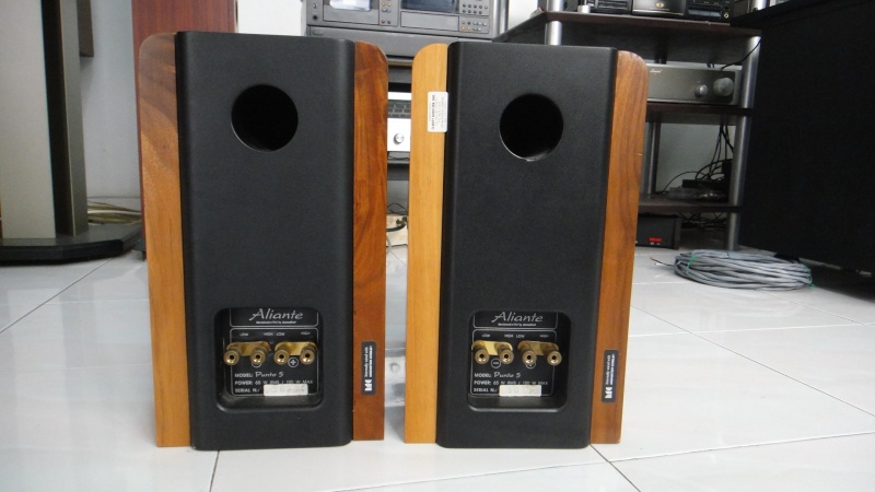 Aliante punto 5 speaker (Used)SOLD Dsc00717